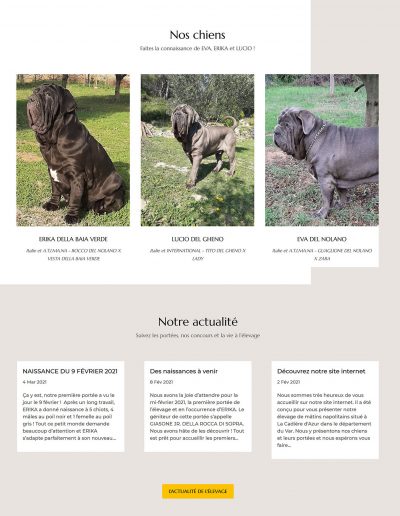 Elevage Les Feux de l'Azur : Accueil (2)