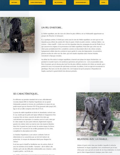 Elevage Les Feux de l'Azur : page La race des Mâtins Napolitains (1)