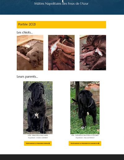 Elevage Les Feux de l'Azur : Les chiots