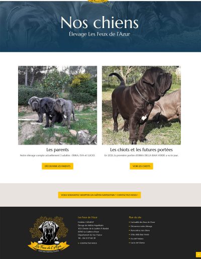 Elevage Les Feux de l'Azur : Nos chiens