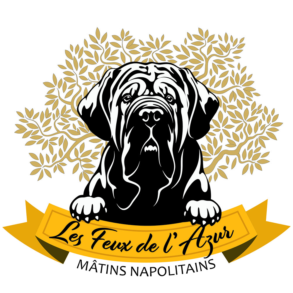 Logo Les Feux de l'Azur