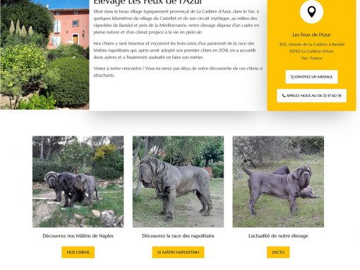 Les Feux de l’Azur : élevage de Mâtins Napolitains