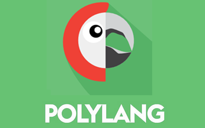 Traduire son site WordPress avec l’extension Polylang
