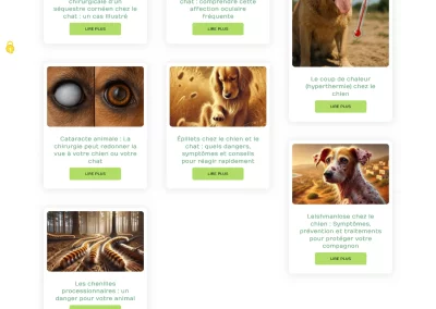 Clinique vétérinaire MATOUVAR : Modèle de catégorie d'articles