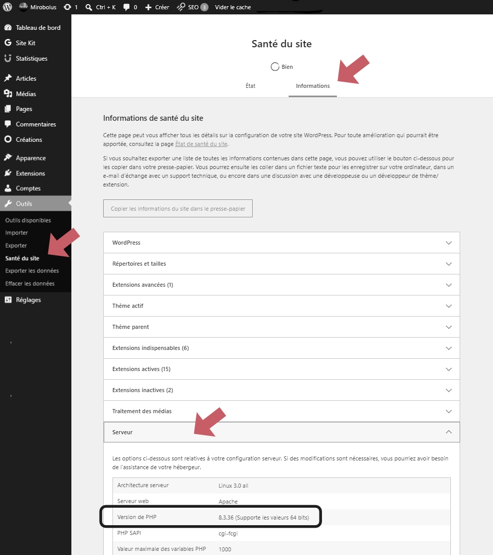 Faille PHP du 21 octobre : vérifiez votre site en 2 minutes Écran Santé du site de WordPress affichant la version de PHP du serveur